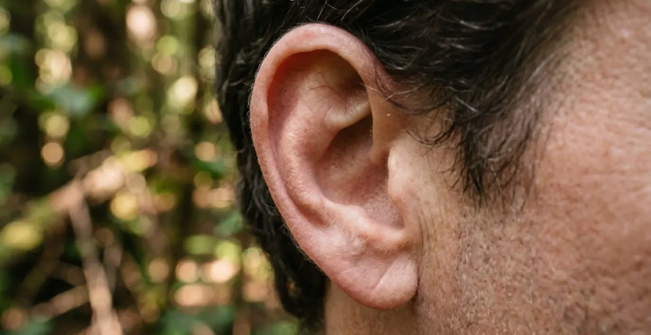 Gros plan macro sur une oreille humaine écoutant les sons subtils de la forêt