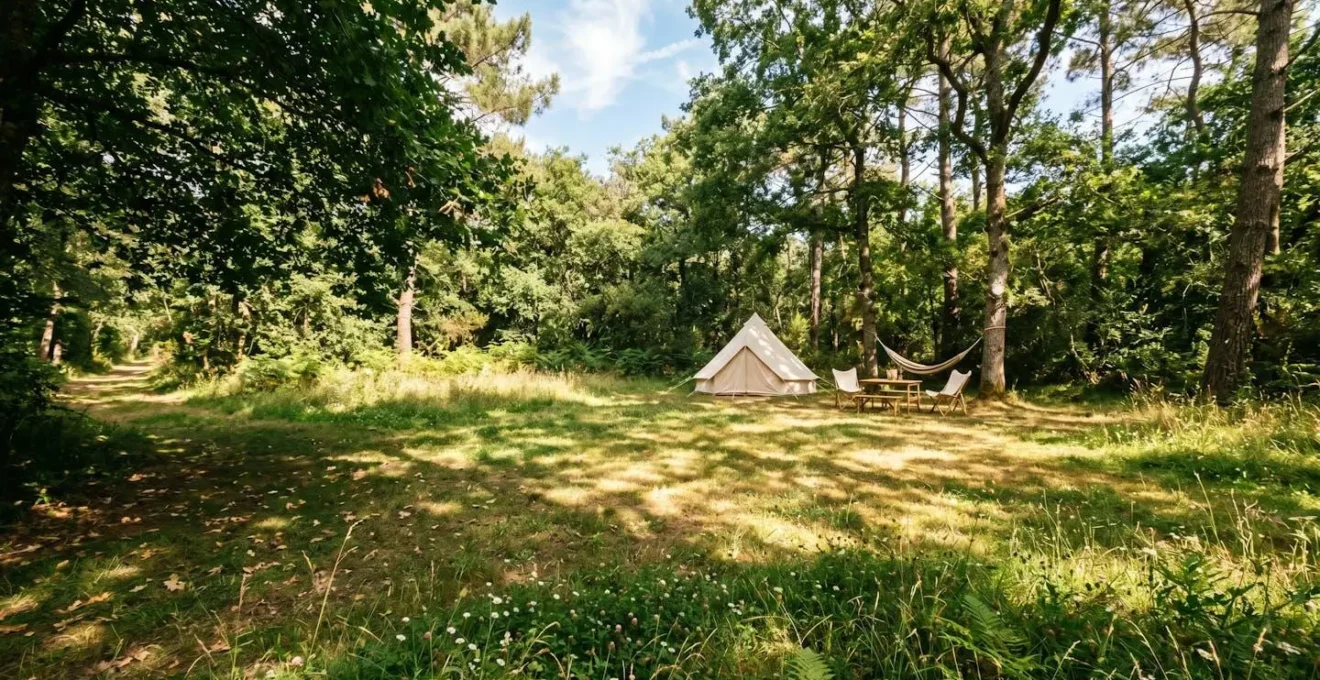Emplacement de camping sous des arbres avec jeu d'ombre et de lumière naturelle créant une zone de confort