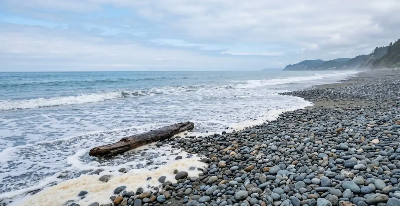 Scene de plage naturelle paisible avec galets et laisse de mer sous lumiere douce