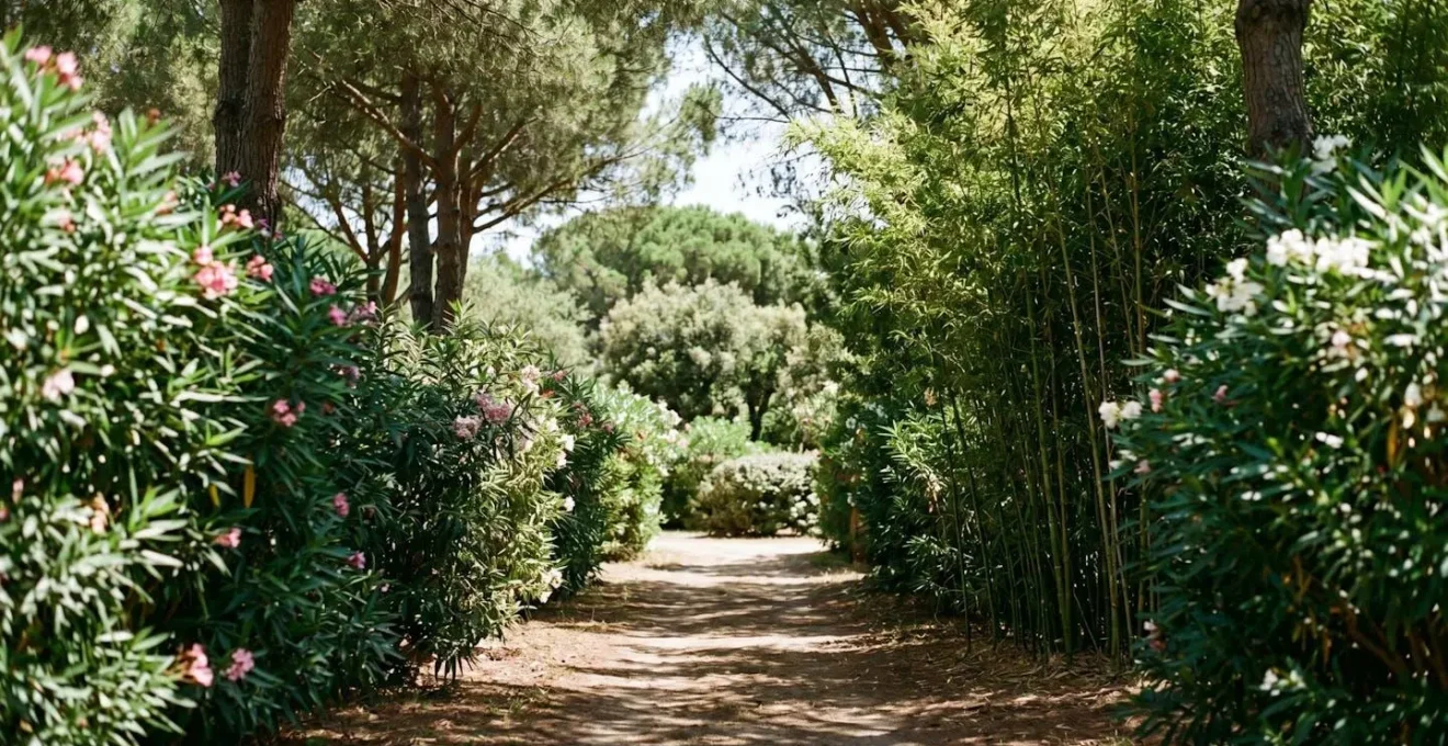 Végétation dense et haies naturelles créant un espace privé et isolé dans un camping naturiste