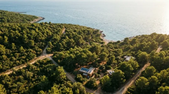 Vue aérienne d'un domaine naturiste préservé avec forêt dense, sentiers naturels et plage sauvage montrant l'harmonie entre activités humaines et protection de l'environnement