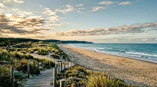 Vue paisible d'une plage naturiste française avec dunes sauvages, végétation littorale et océan sous un ciel lumineux, incarnant sécurité et tranquillité