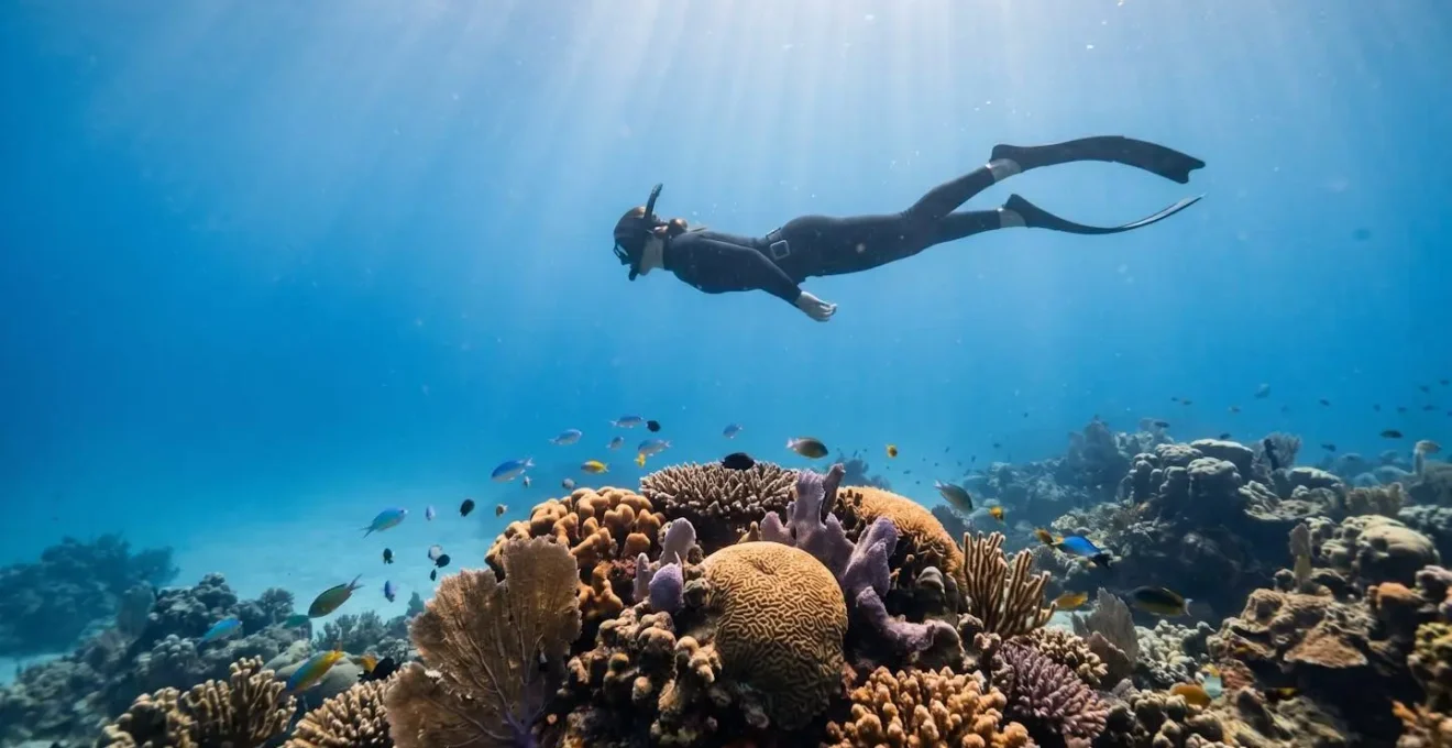 Vue sous-marine d'une personne en apnée observant la vie marine dans une eau cristalline