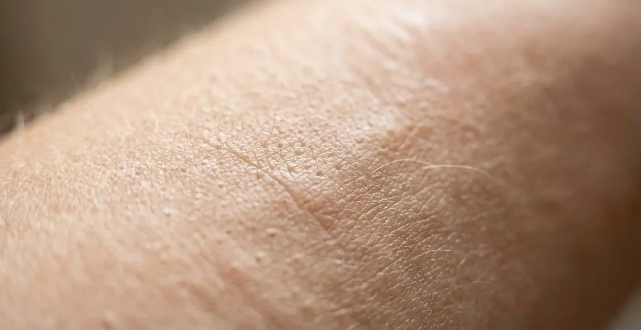 Photographie macro de la texture naturelle de la peau humaine avec ses reliefs et variations, capturée dans une lumière douce
