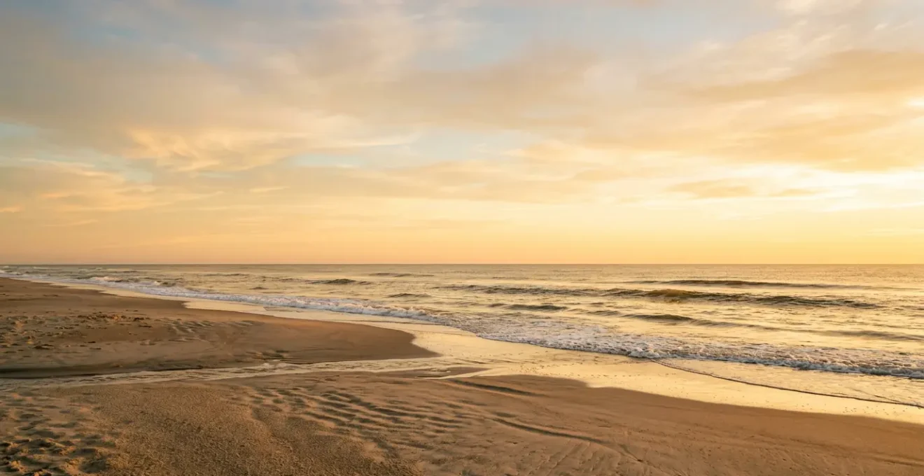 Silhouette humaine en harmonie avec un environnement naturel lumineux symbolisant la libération mentale