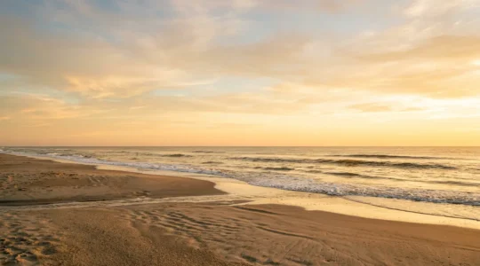 Silhouette humaine en harmonie avec un environnement naturel lumineux symbolisant la libération mentale